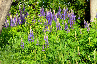 Similar image 22244434