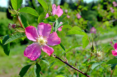 Similar image 22244435