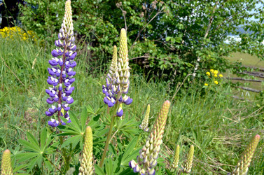 Similar image 22244437