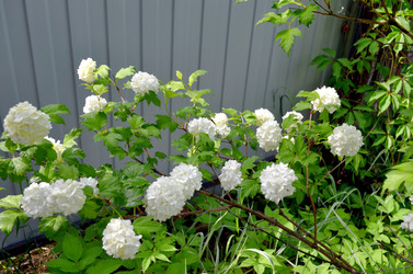 Similar image 22244440