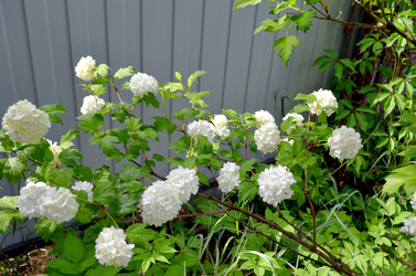 Similar image 22244441