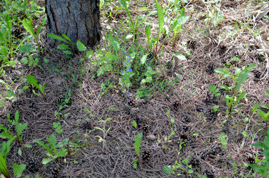 Similar image 22236936