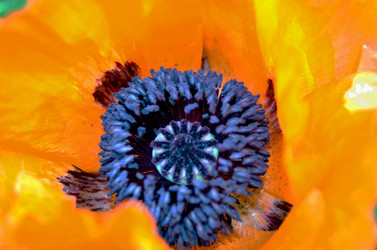 Similar image 22236937