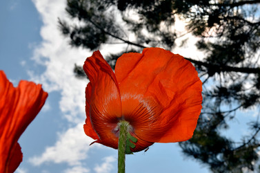 Similar image 22236938