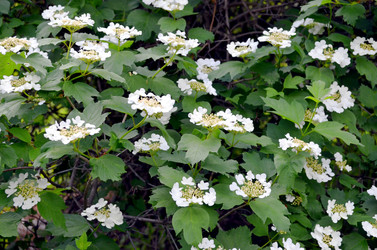 Similar image 22236939