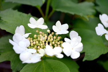 Similar image 22236940