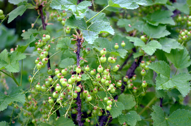 Similar image 22236941