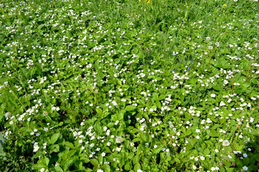 Similar image 22236942