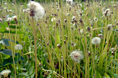 Similar image 22236943