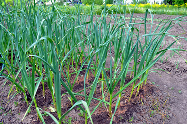 Similar image 22236944