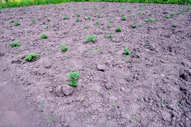 Similar image 22236945