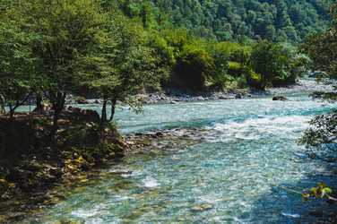 Similar image 22239871