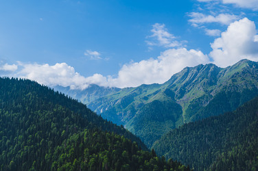 Similar image 22239878