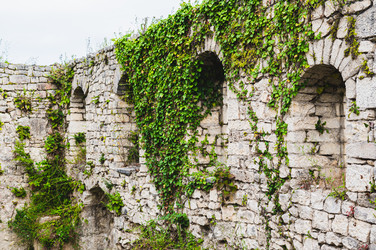 Similar image 22239886