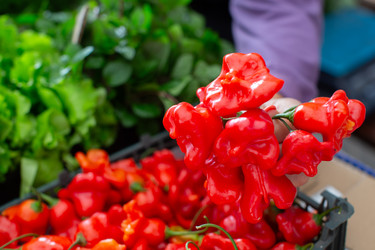 Similar image 22247922