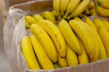 Similar image 22247928