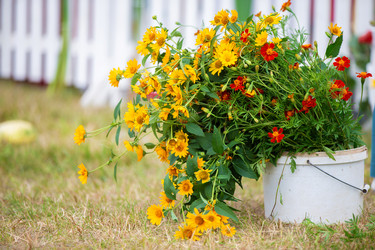 Similar image 22247950