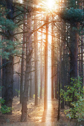 Similar image 22247953