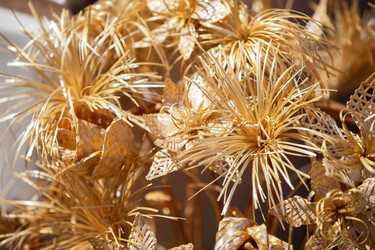 Similar image 22247955