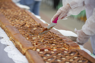 Similar image 22248008