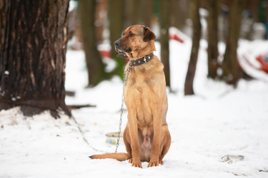 Similar image 22248013