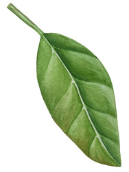 Similar image 22243720