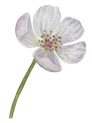 Similar image 22243721