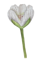 Similar image 22243723