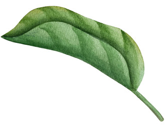 Similar image 22243726