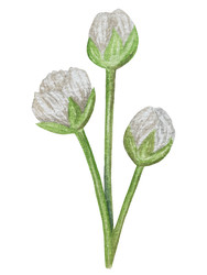 Similar image 22243728