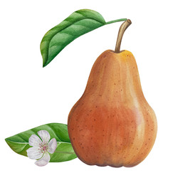 Similar image 22243736