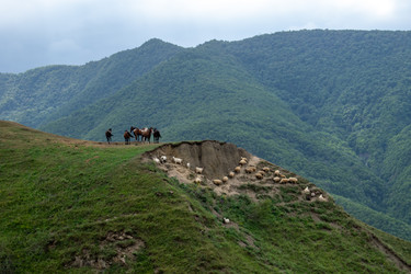 Similar image 22237227