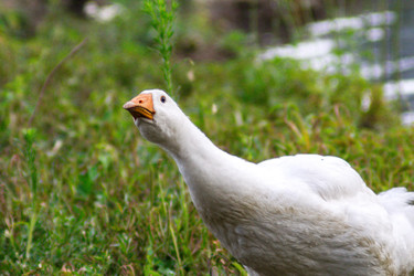 Similar image 22237228