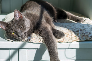 Similar image 22237233