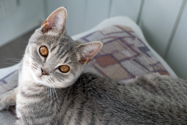 Similar image 22237234