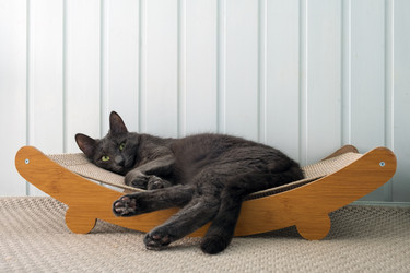 Similar image 22237235