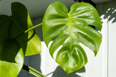 Similar image 22237236