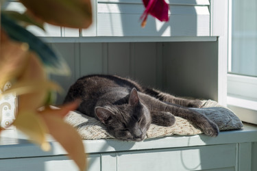 Similar image 22237237