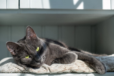 Similar image 22237238