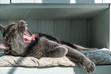 Similar image 22237239