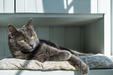 Similar image 22237240