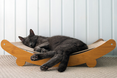 Similar image 22237241