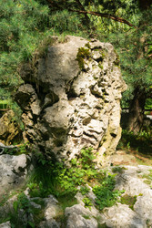 Similar image 22243903