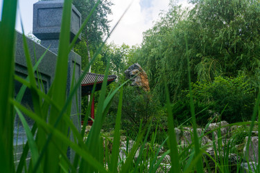 Similar image 22243905