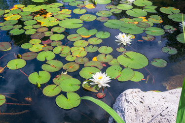 Similar image 22243910