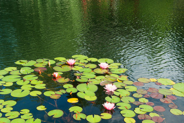 Similar image 22243911