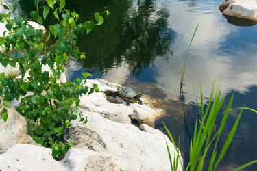 Similar image 22243914