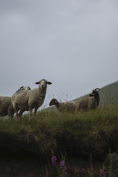 Similar image 22237248