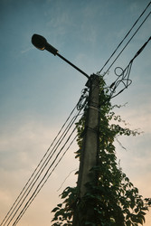 Similar image 22237262