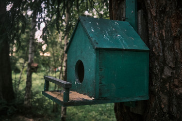 Similar image 22237264